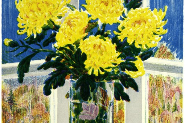 Желтые хризантемы